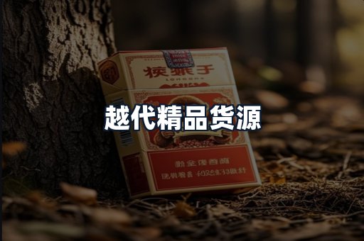 越代精品货源